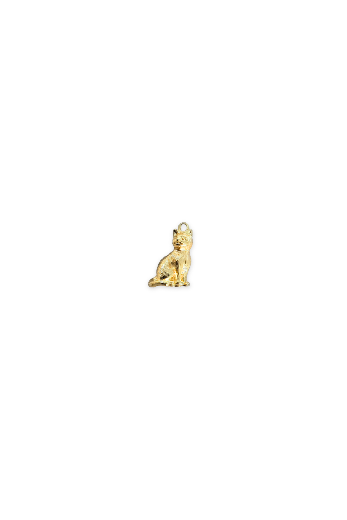 3D Cat Charm