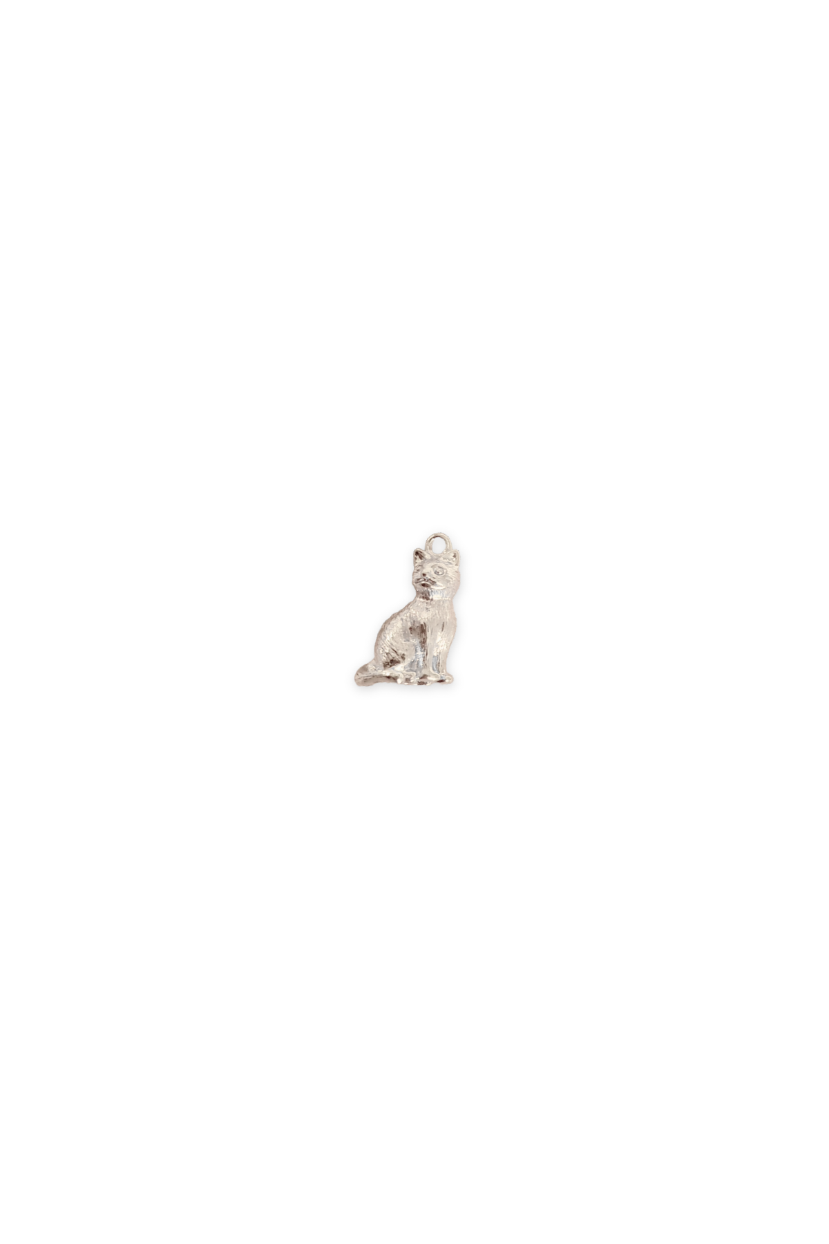 3D Cat Charm