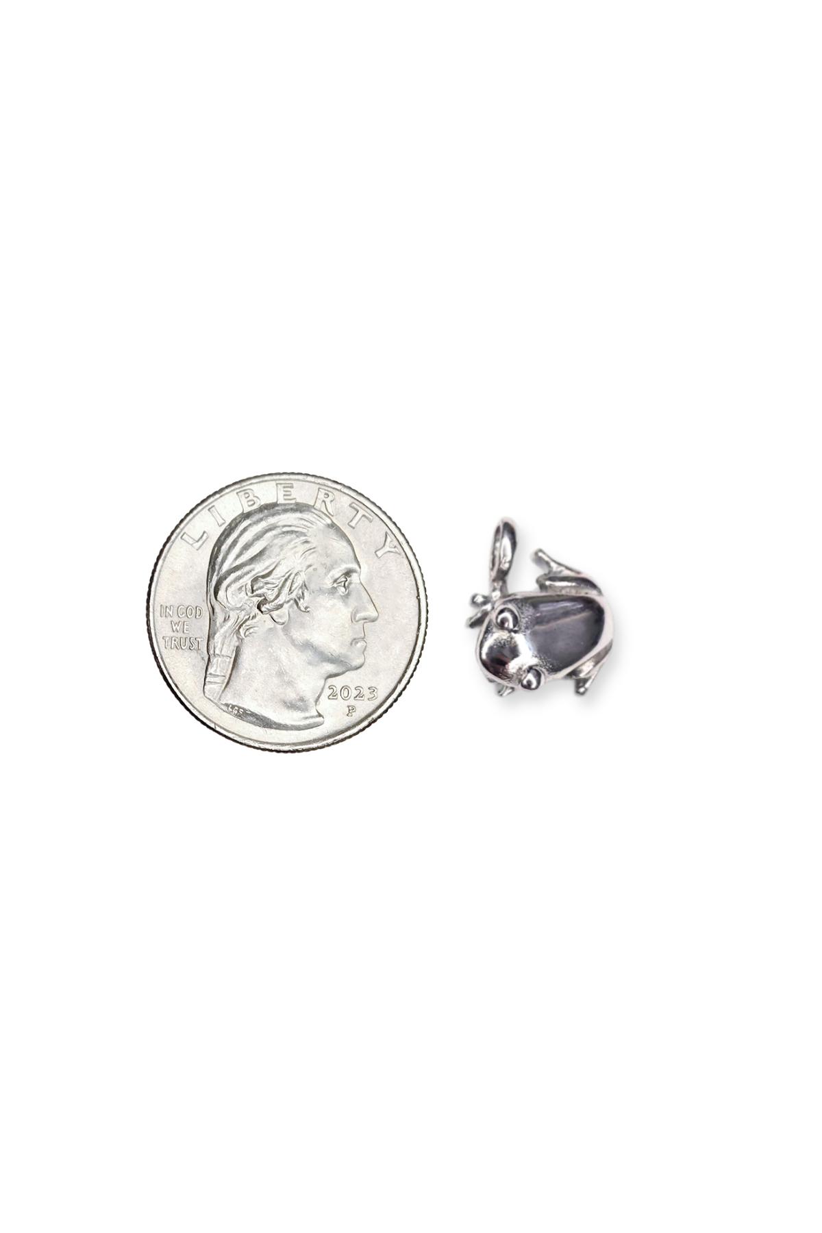 Stainless Steel 3D Frog Charm