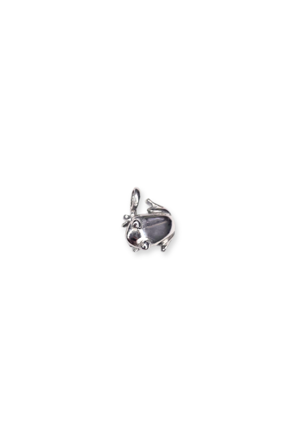 Stainless Steel 3D Frog Charm