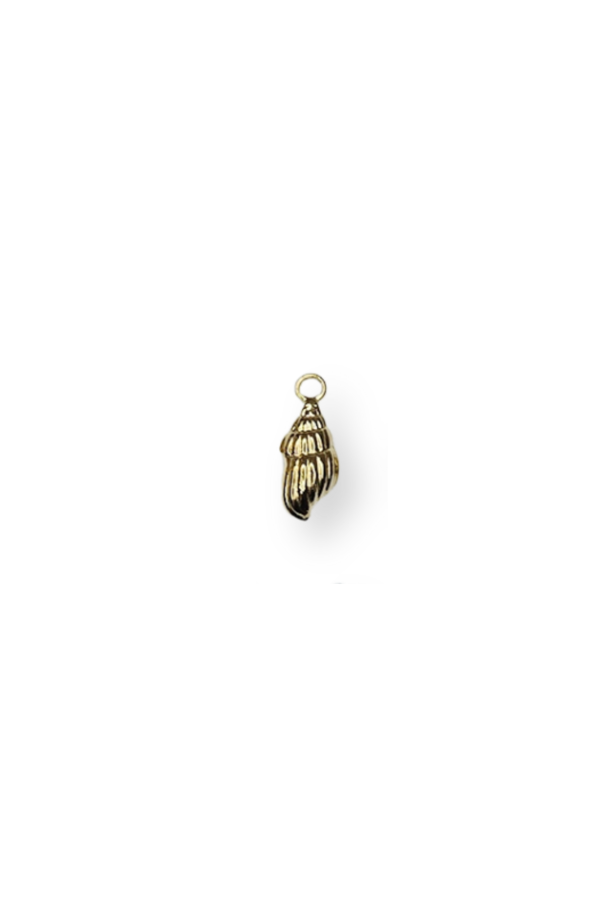 Stainless Steel 3D Ocean Conch Shell Charm