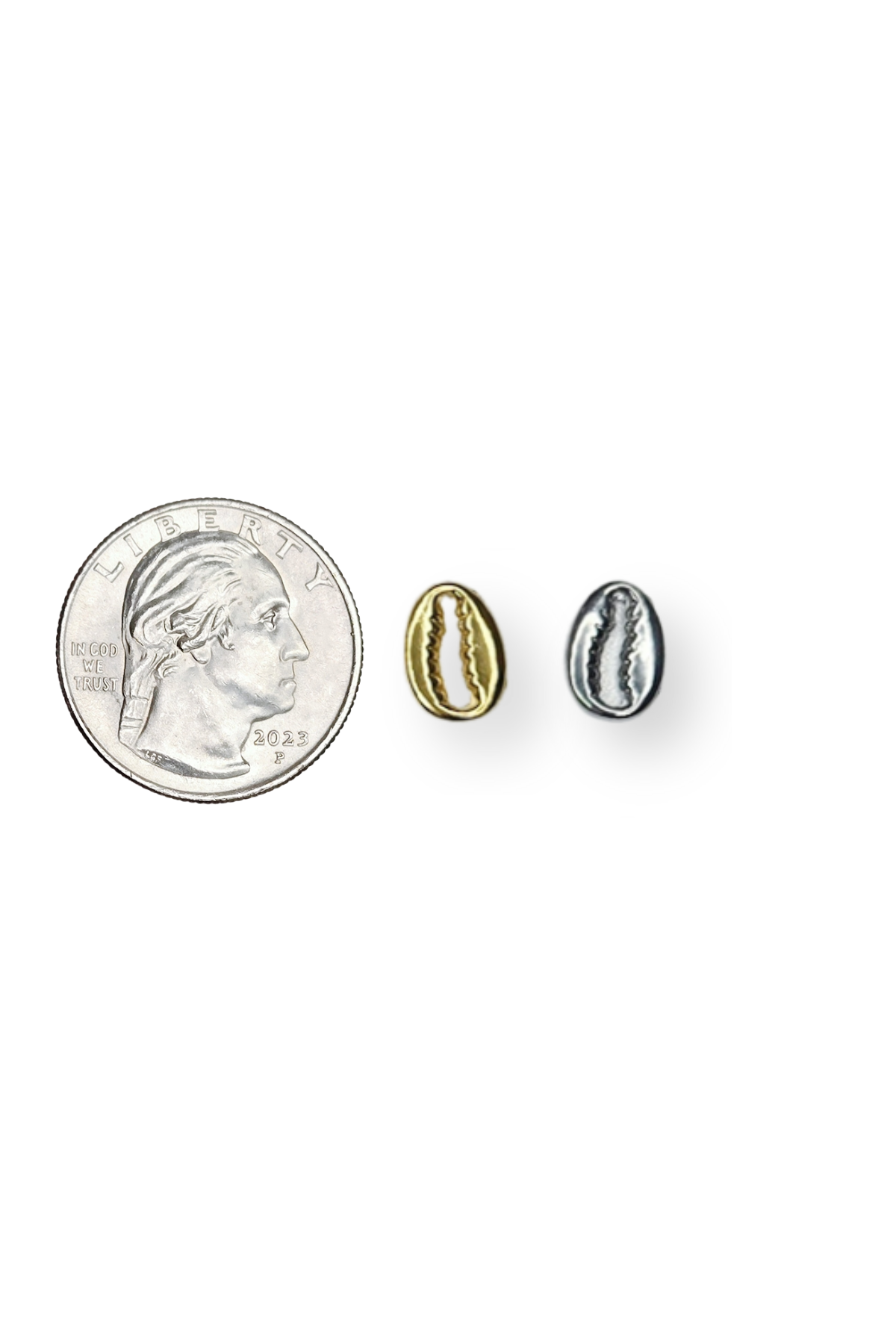 Stainless Steel 3D Ocean Cowrie Shell Charm