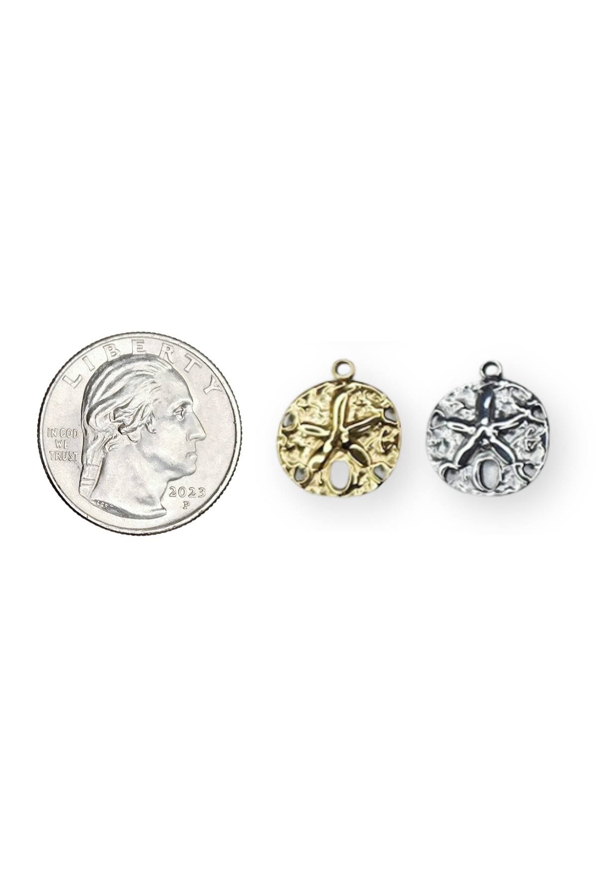 Stainless Steel 3D Ocean Sand Dollar Charm