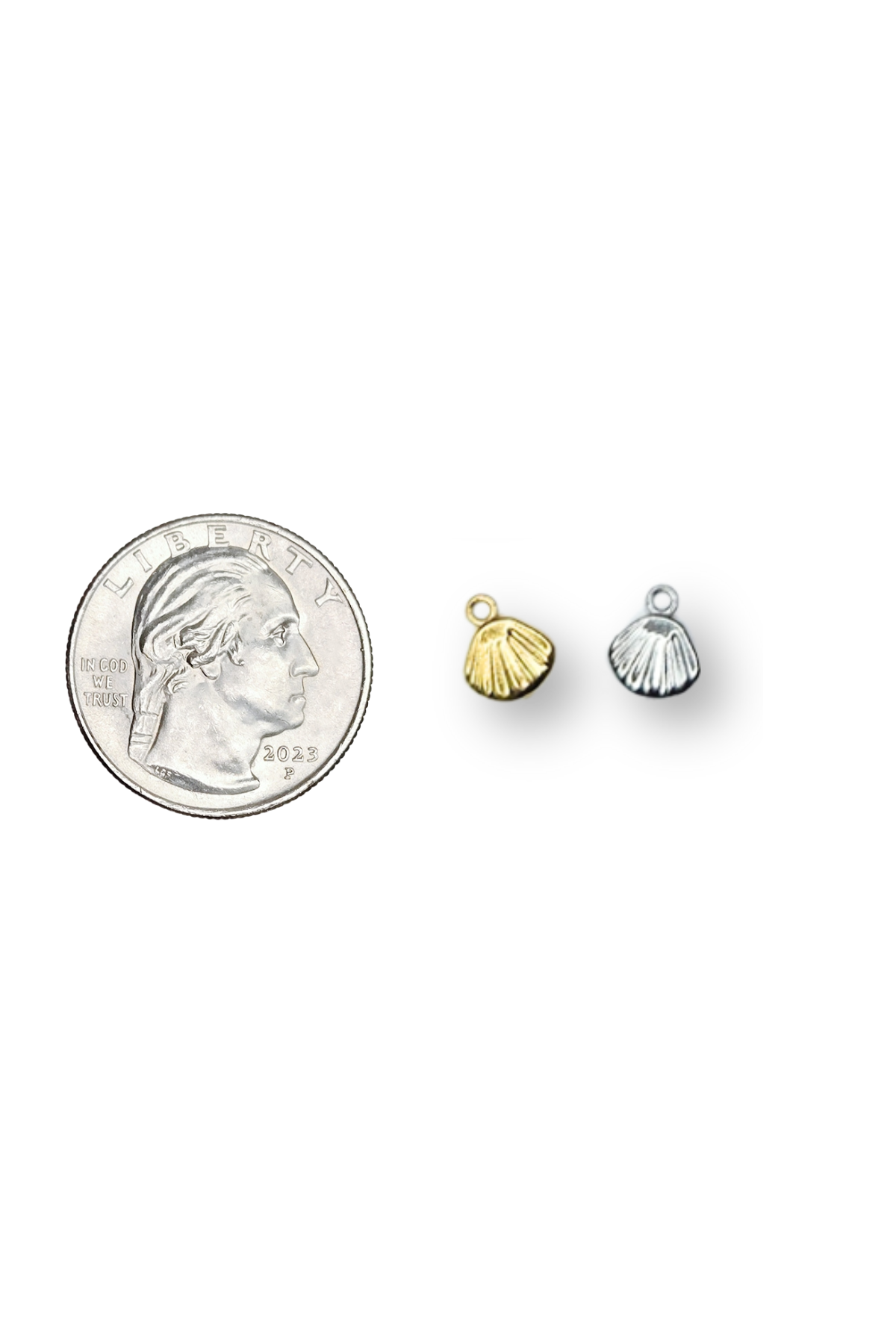 Stainless Steel Dainty 3D Shell Charm